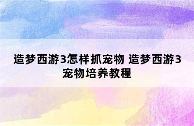 造梦西游3怎样抓宠物 造梦西游3宠物培养教程